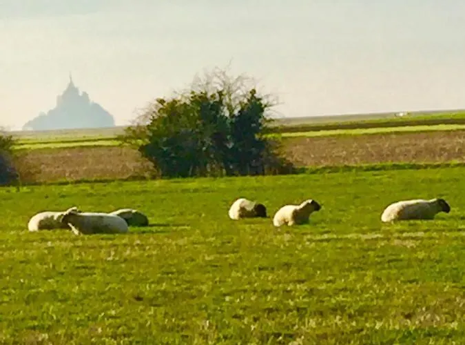 Familial Le Tanis Apartament *